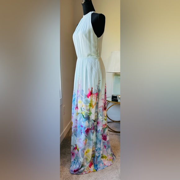 Ted Baker Maxi Dress - Picture 9 of 9